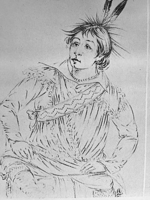 (Photocopy of) a drawing by George Catlin of Hah-tchoo-tuck-nee
